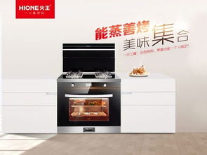 排名前十的集成灶，缘何它们能深得人心？